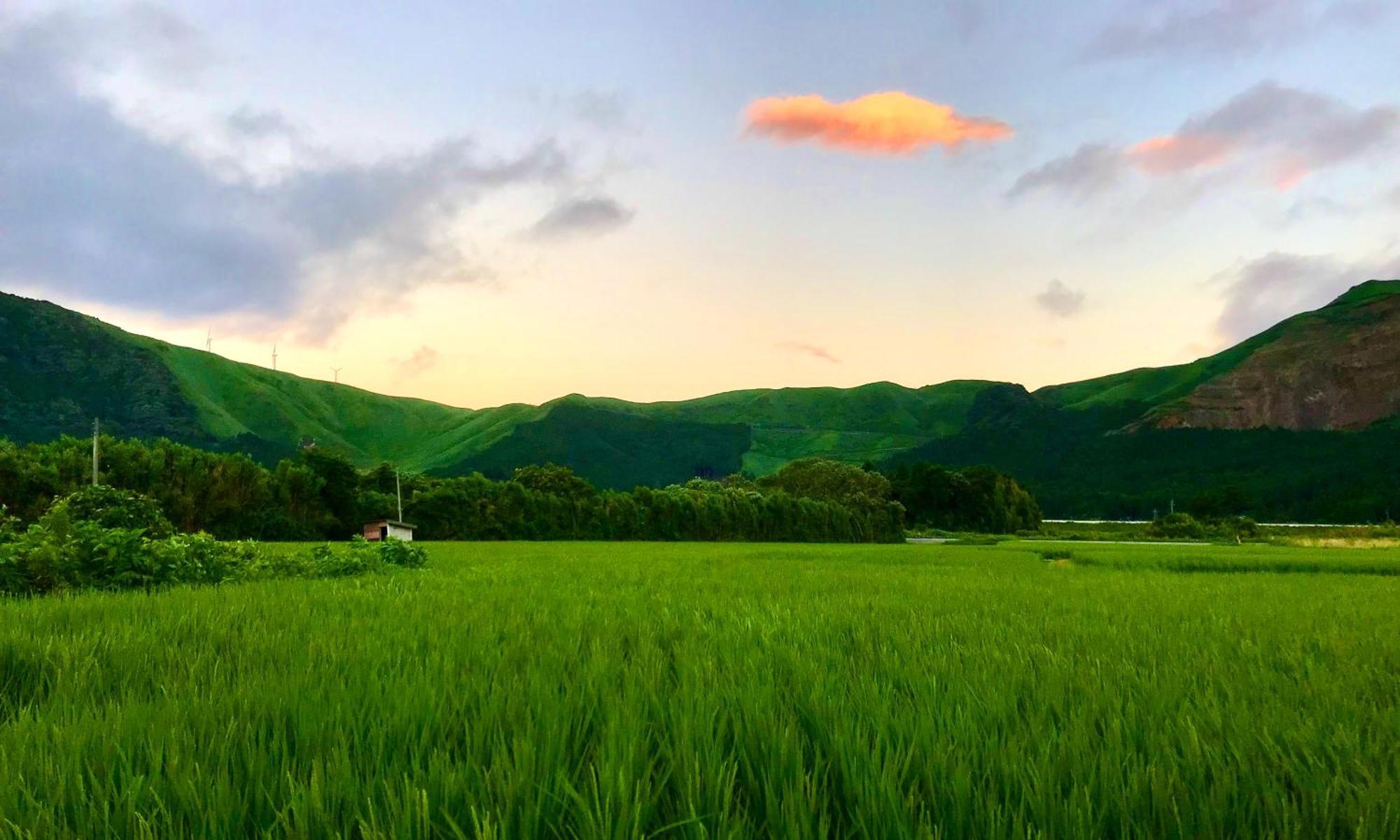 Aso Hakuun Sanso Hotel Bagian luar foto